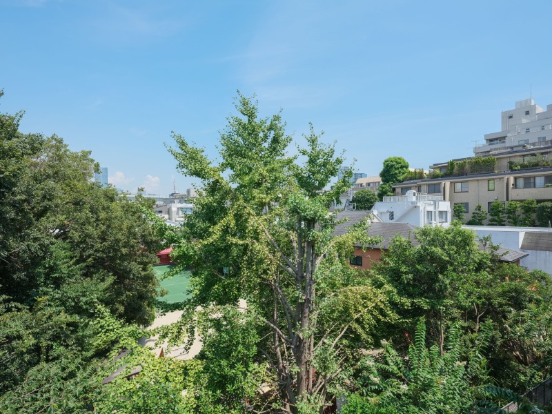 こちらはバルコニーからの眺望です。緑に囲まれたロケーションで、自然からマイナスイオンを感じることができます。また、東京タワーも望めるため都会の風景と自然の風景を楽しむことができます。イチョウ並木の傍らに佇んでいるマンションのため、秋にはキレイなイエローカラーのイチョウを眺めることができます。