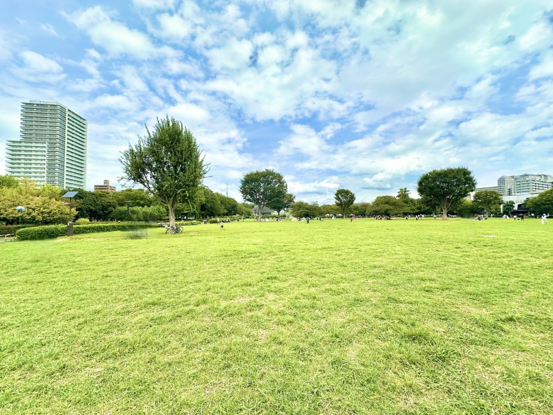 木場公園まで徒歩2分で、休日にご家族とピクニックやお散歩をすることができます。また、木場公園に様々な施設が併設されており、東京都現代美術館ではアートに触れたり、木場キッズリアムでは遊具で遊べます。春には桜が咲き誇ります。