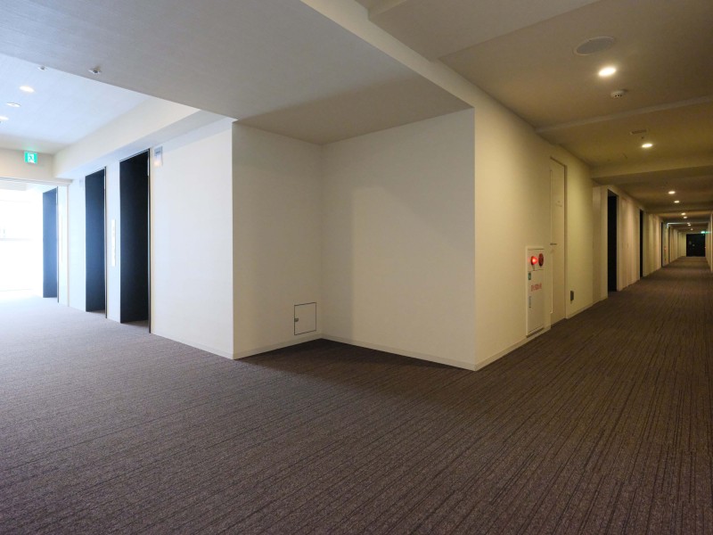 共用廊下は管理が行き届き、高級感漂う空間。外気の影響を受けにくく、プライバシーも守りやすい内廊下設計です