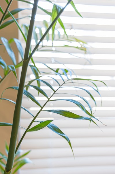 ナチュラル＆モノトーンのカラースキームをベースに、ディテールに特徴的な意匠を施したリノベーションです。従来の様式美や一過性のトレンドに流されることなく、暮らしの普遍を丁寧に見つめながら、洗練された新しい上質感を目指しました。​