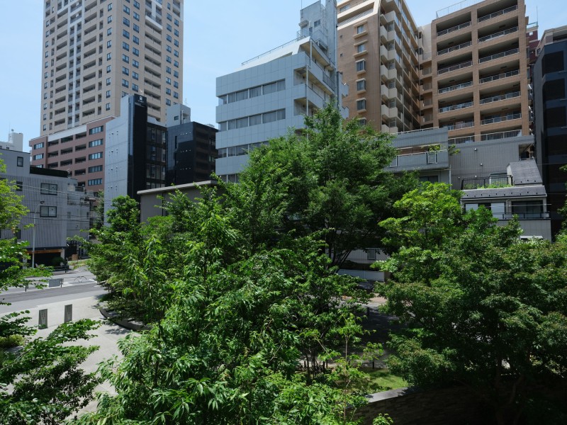 バルコニーからの眺望です。目の前に高い建物がなく、緑を楽しめます。季節の移ろいを感じられるスペースです。