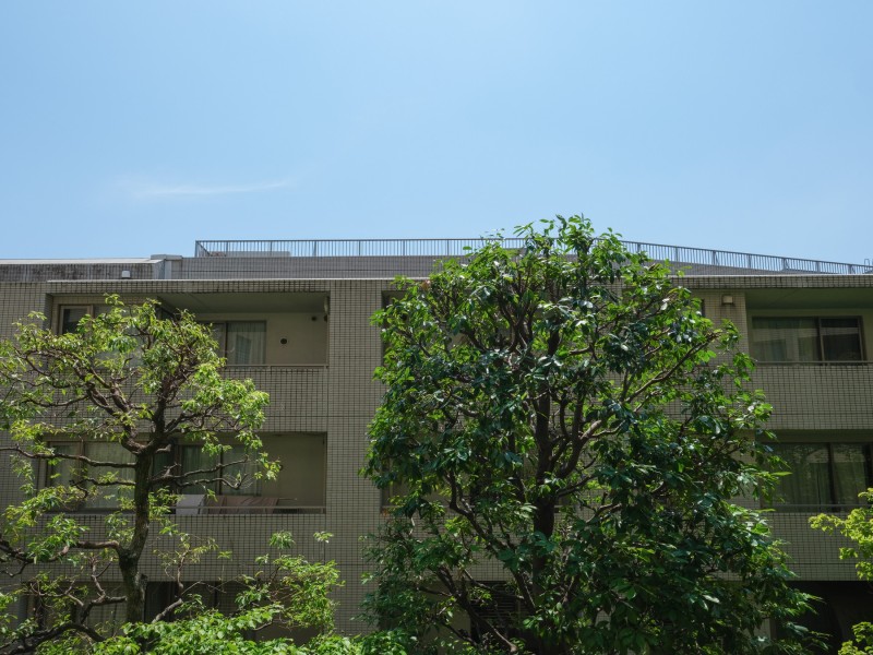 青々とした植栽の緑、のびのびと広がる青空のコントラストが楽しめる眺望です。都会の喧騒を忘れ、ほっと一息つきたくなるような空間が広がります