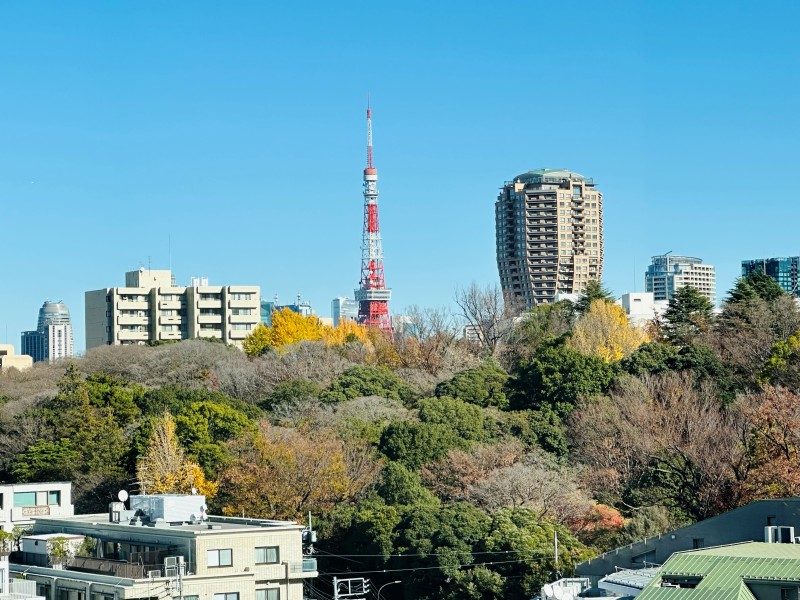 「東京タワー」や「有栖川記念公園」の緑を望むことができ、都心の利便性を享受しながらも、穏やかな気持ちになれる住まいです。