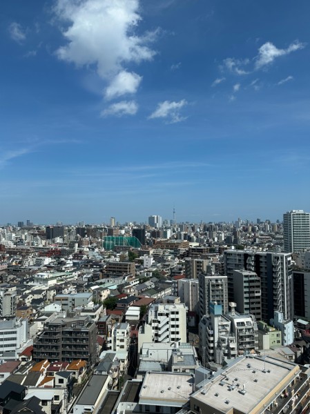 遠くまで青々と広がる大空に開放感とゆとりを宿すタワーレジデンス。飽きのこない窓辺からの光景を愉しむことができます。リビングダイニングからスカイツリーを望めます。