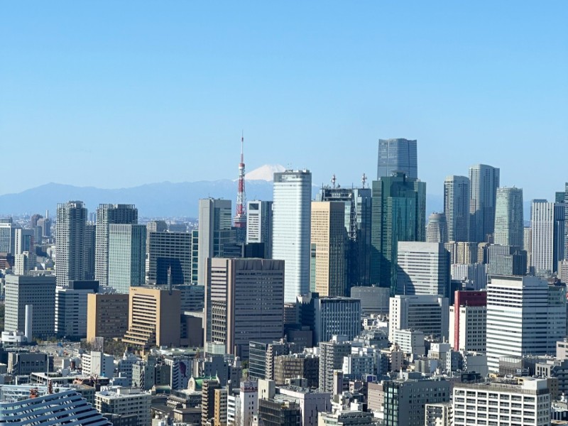 リビングから東京タワー・スカイツリー・富士山の眺望を堪能できる住まいです。夜にはライトアップされた煌めく夜景も毎日の楽しみになりそうです。