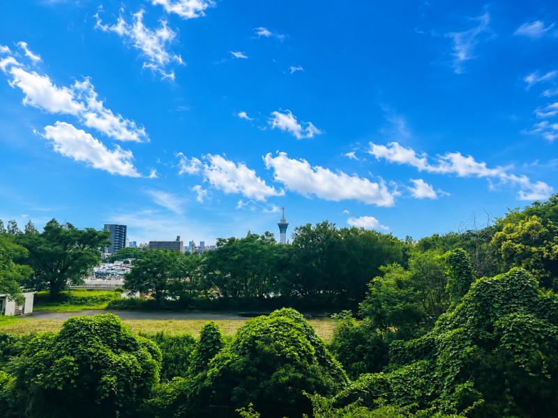 バルコニーからは大きな青空と深い緑のコントラストが美しい、自然豊かな景色が広がります。心地よい陽の光と風を感じながら、開放的な気分を味わえる空間です。.