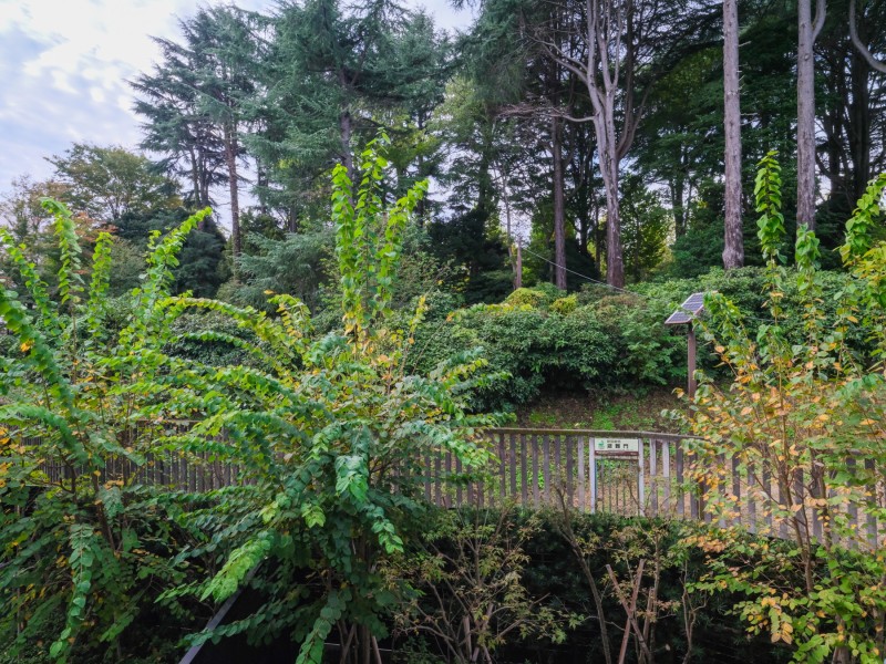 青々とした空と季節の移ろいを感じることができる緑を望める眺望です。お部屋にいながら新宿御苑の緑を楽しめ、心地の良い時間を過ごせます。晴れた日には日向ぼっこをしたり、ティータイムにぴったりの空間です。