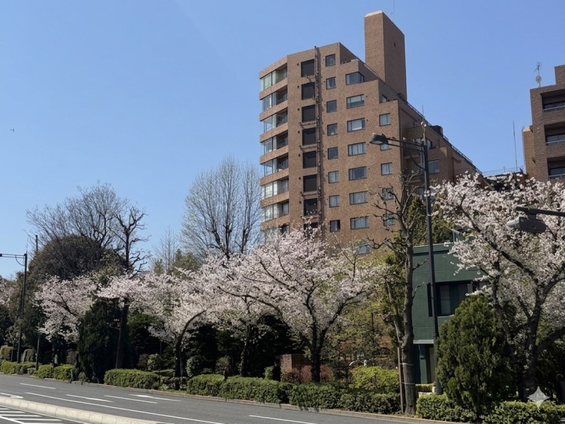 ㈱竹中工務店施工のヴィンテージマンションです。定期的に修繕工事が実施されており、管理体制が良好なことが伺えます。半蔵門駅まで徒歩4分、麴町駅徒歩10分で利便性が良好となっております。