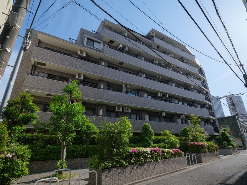 便利な交通アクセスに加え、活気のある商業施設が多数軒を連ねる「武蔵小杉」。散策も楽しめて、心地よい時間が流れています。